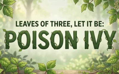 Leaves of Three, Let It Be!